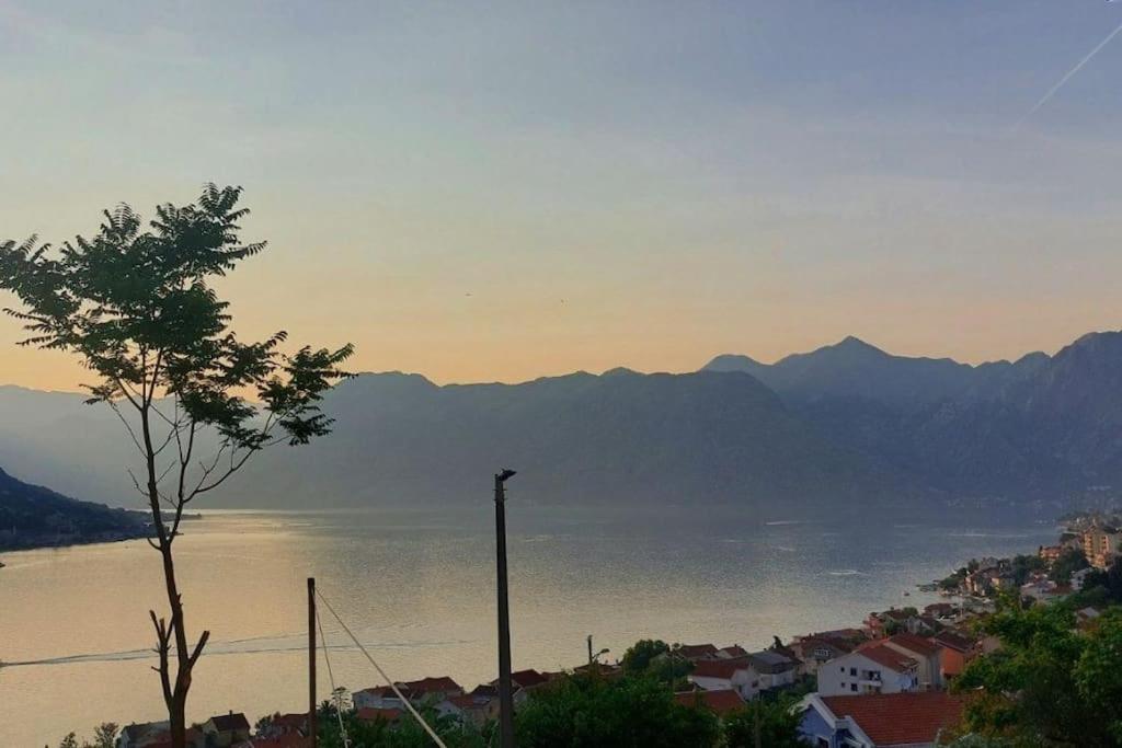 Animil 1 Apartment Kotor Luaran gambar