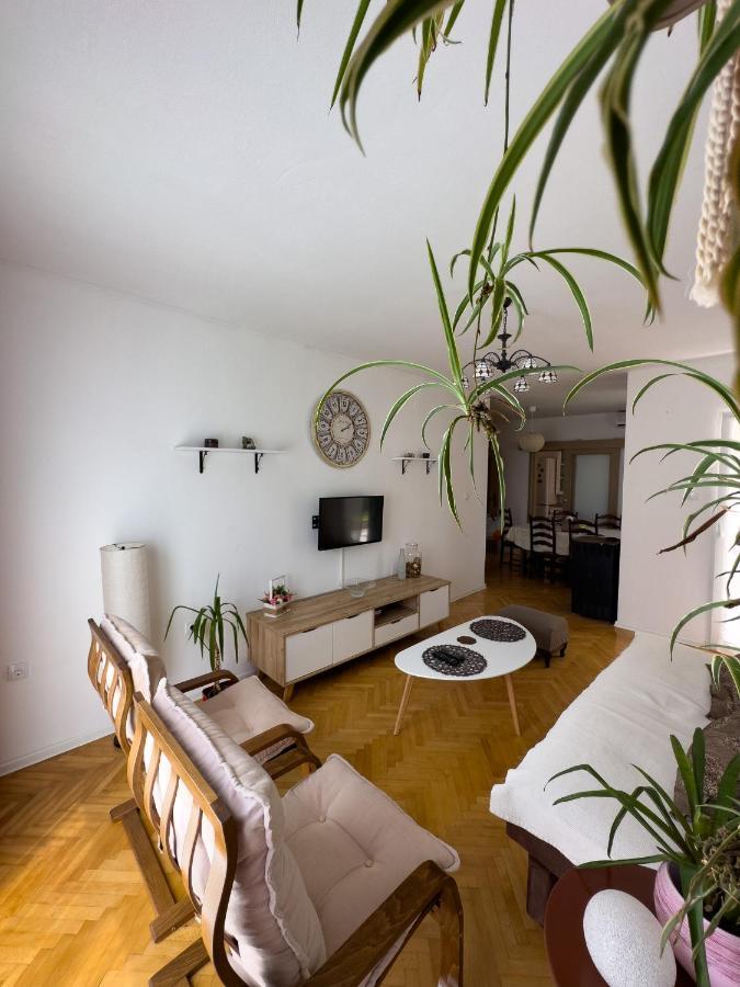 Animil 1 Apartment Kotor Luaran gambar