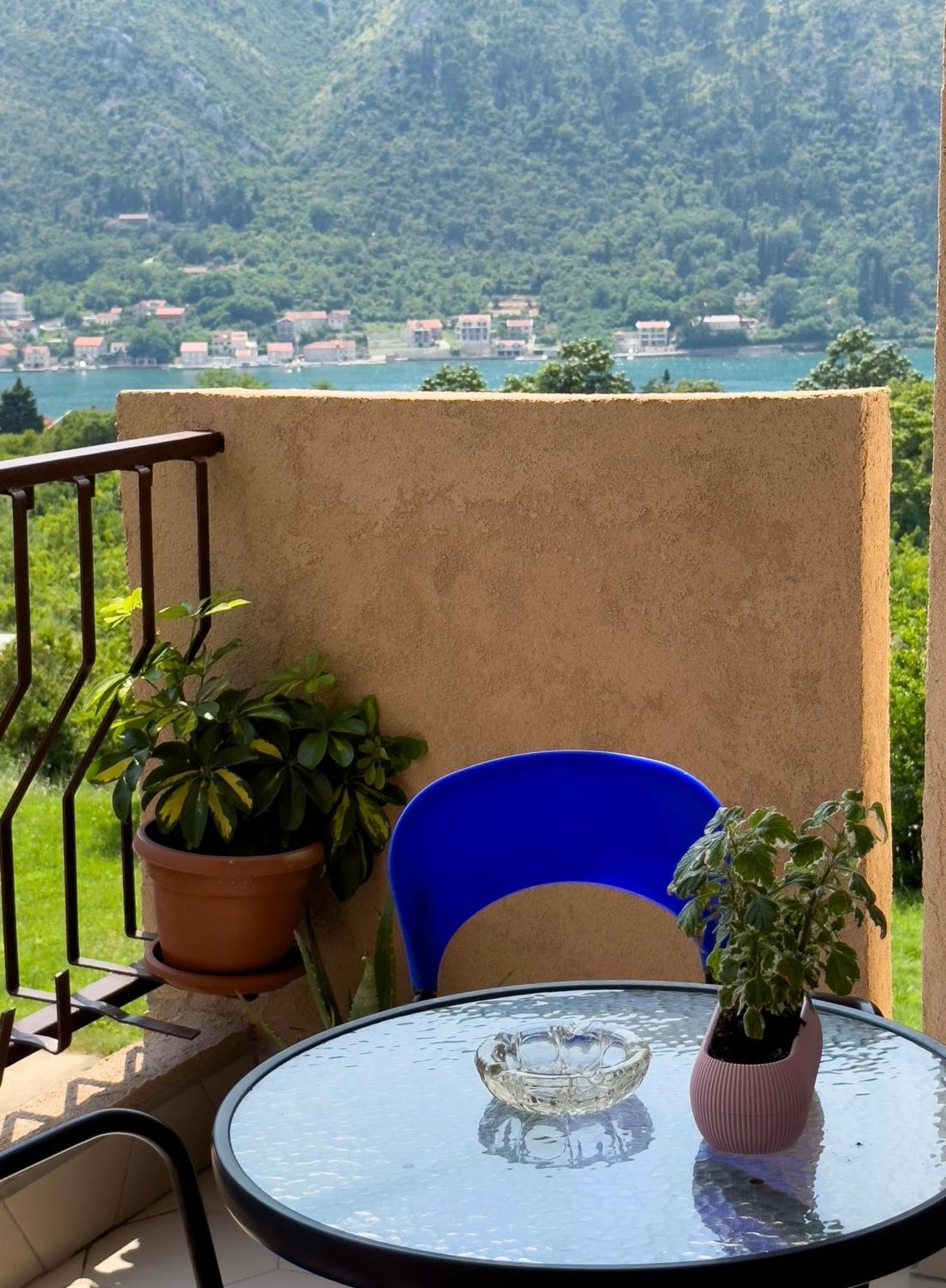 Animil 1 Apartment Kotor Luaran gambar