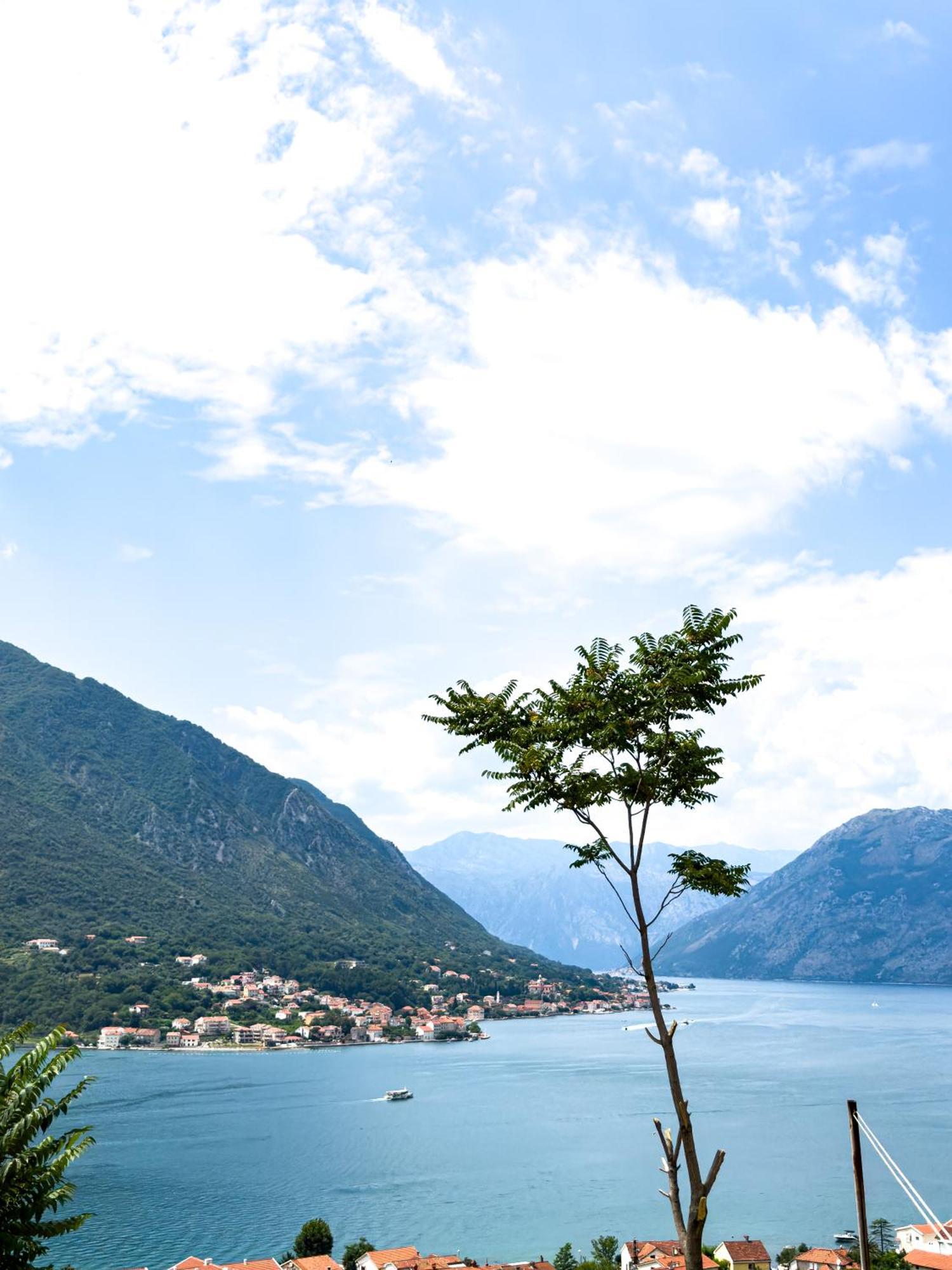 Animil 1 Apartment Kotor Luaran gambar